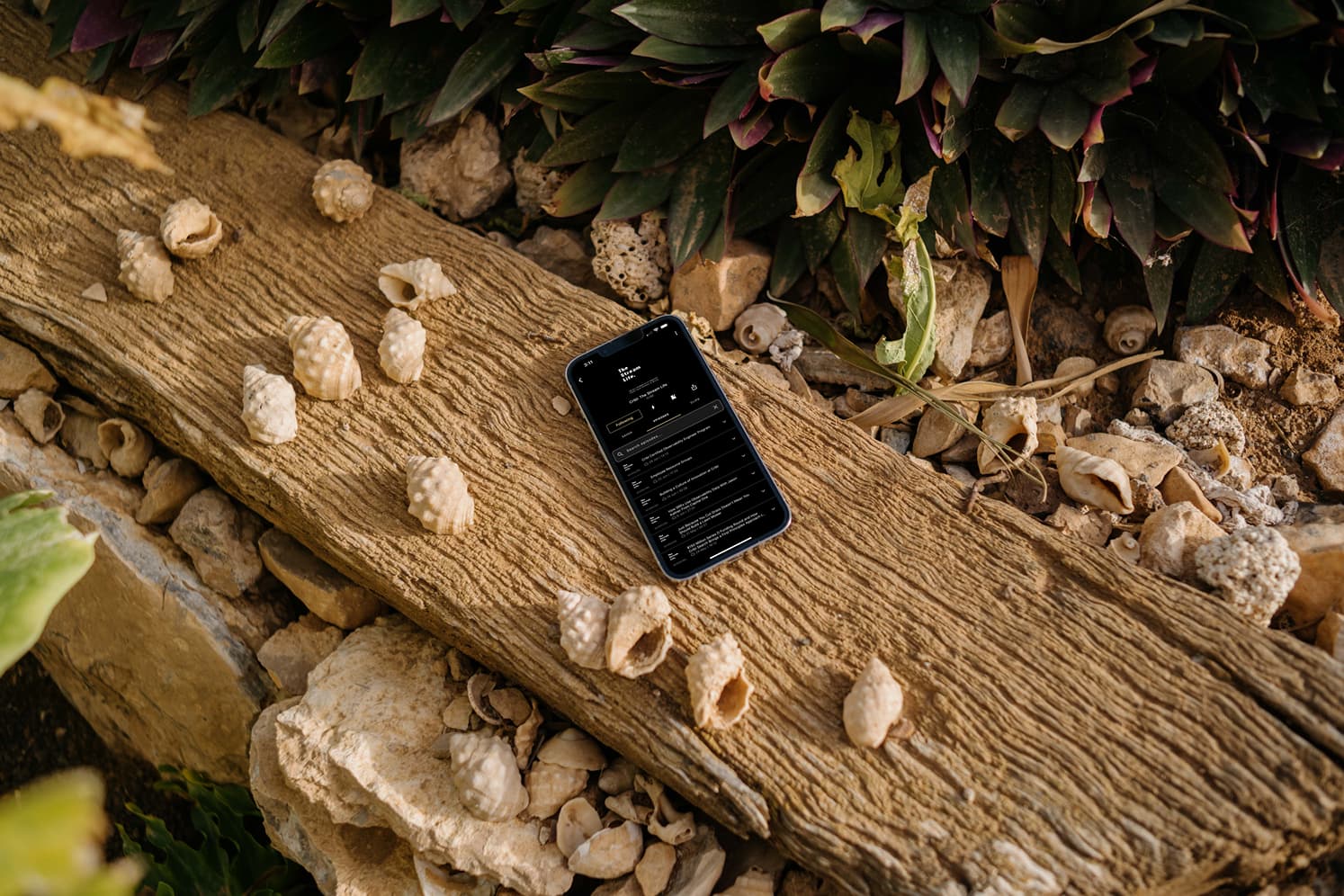 mockuuups-iphone-13-pro-mockup-on-a-piece-of-driftwood