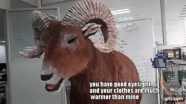 goat-story