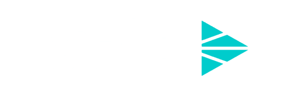 Wiz Logo Image