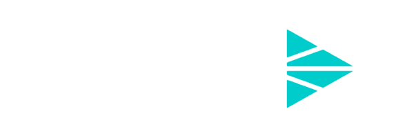 Wiz Logo Image
