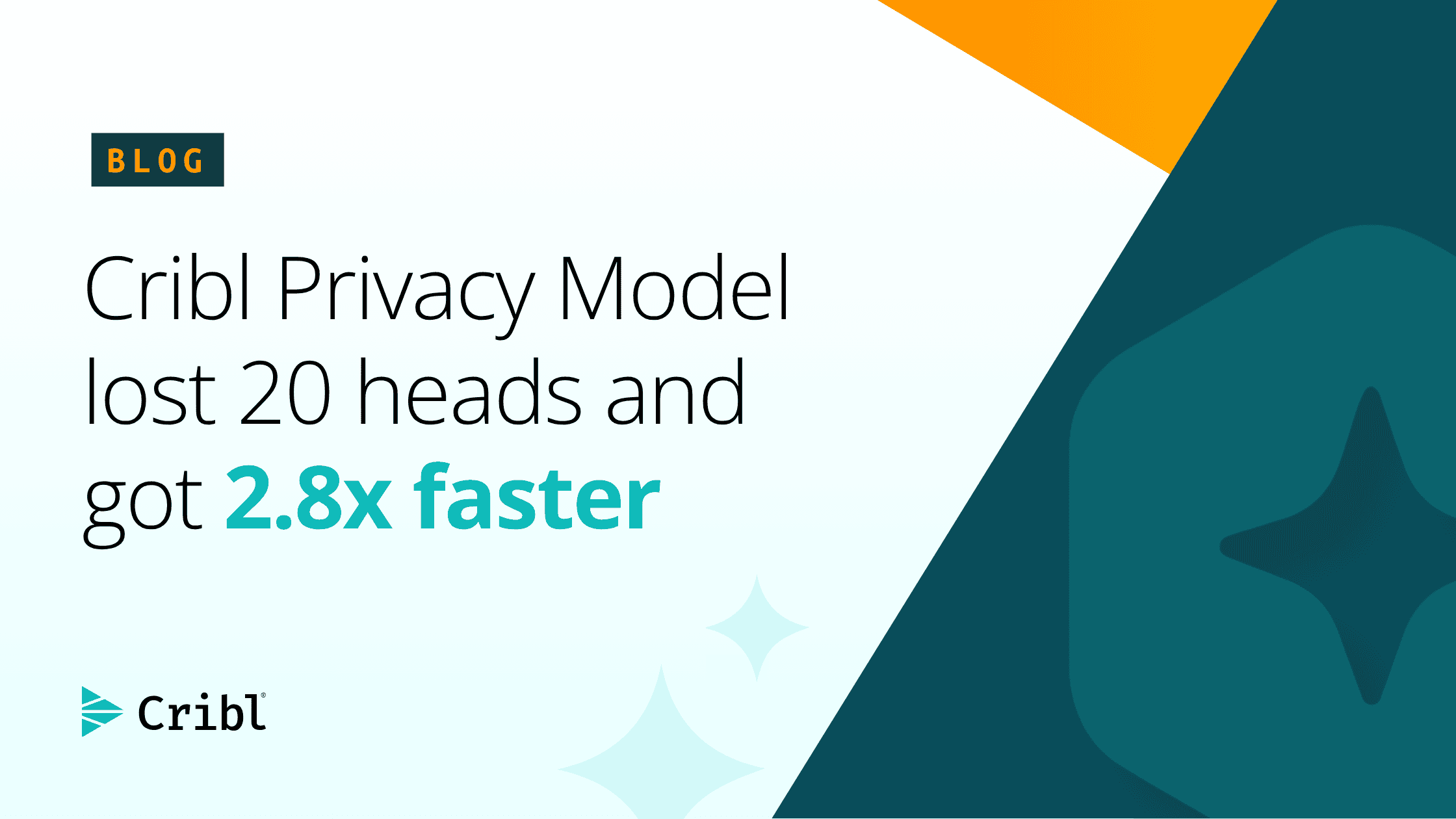 Cribl Privacy Model lost 20 heads and got 2.8x faster