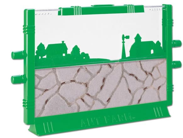 ant-farm