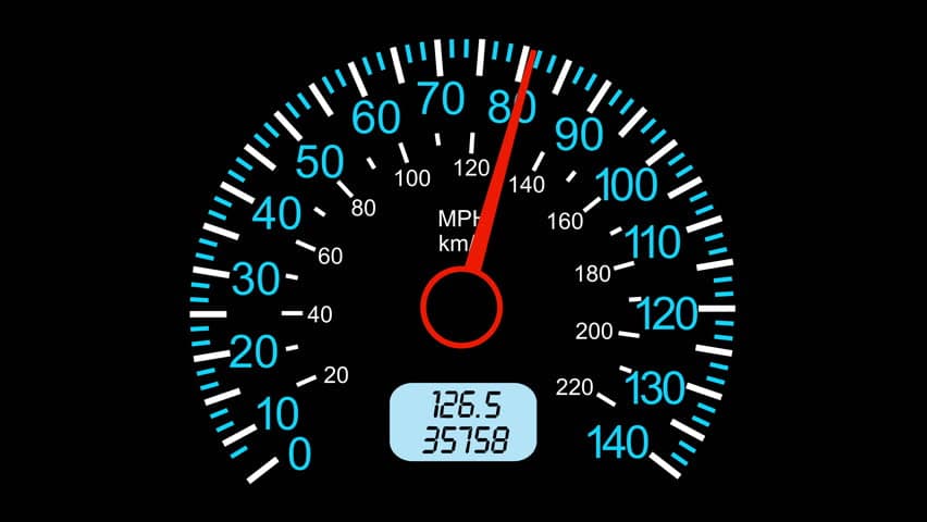 speedo