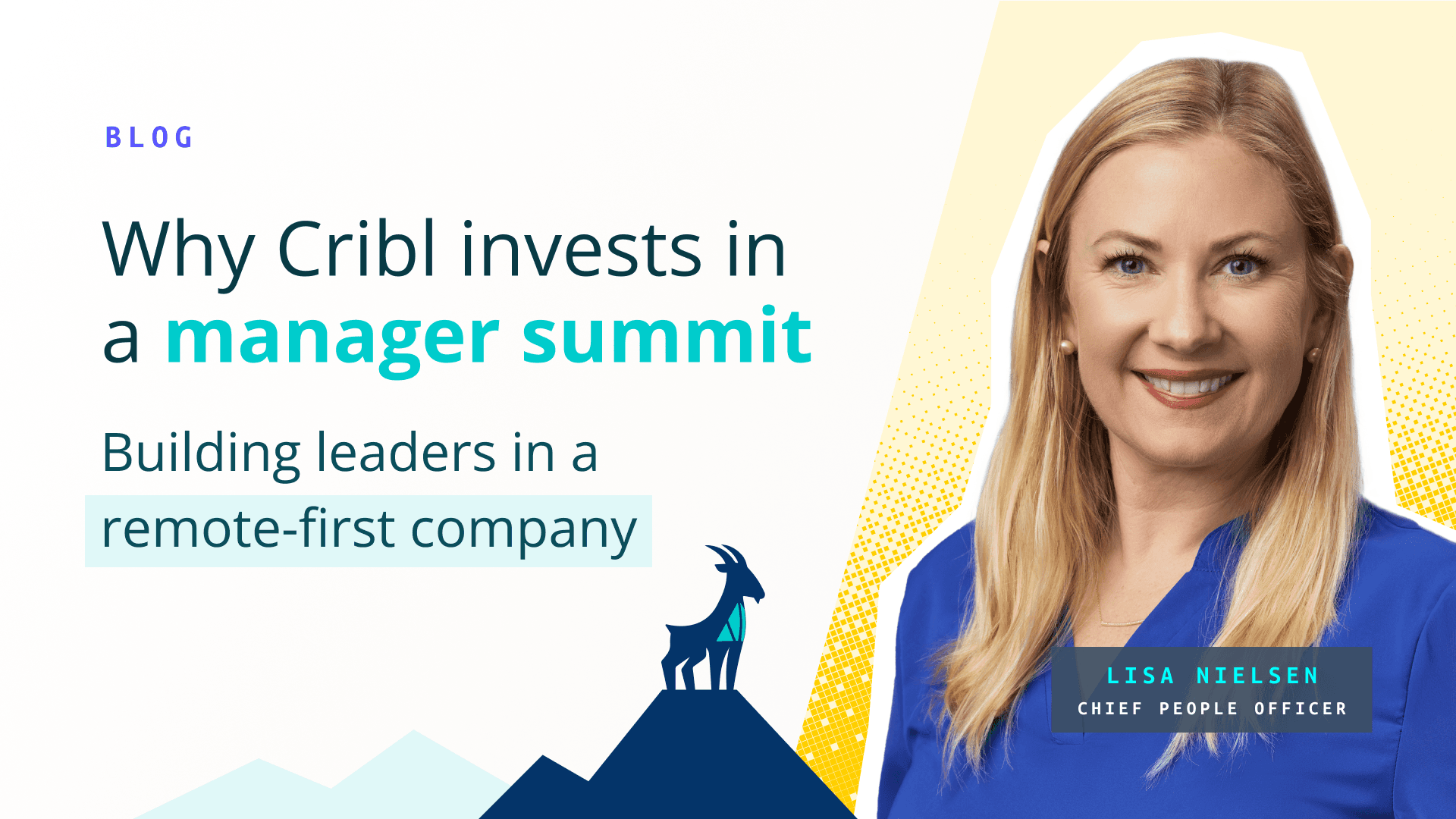 What is Data Redaction and When to Use it? | Cribl Glossary