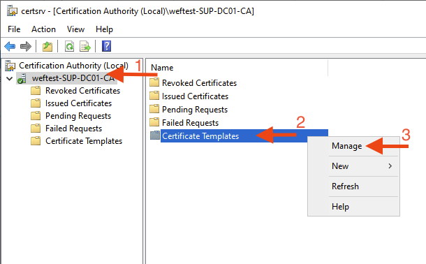 A screenshot of a certificate template Description automatically generated